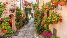 Il borgo dei fiori sta per sbocciare: ecco quando ammirare lo show