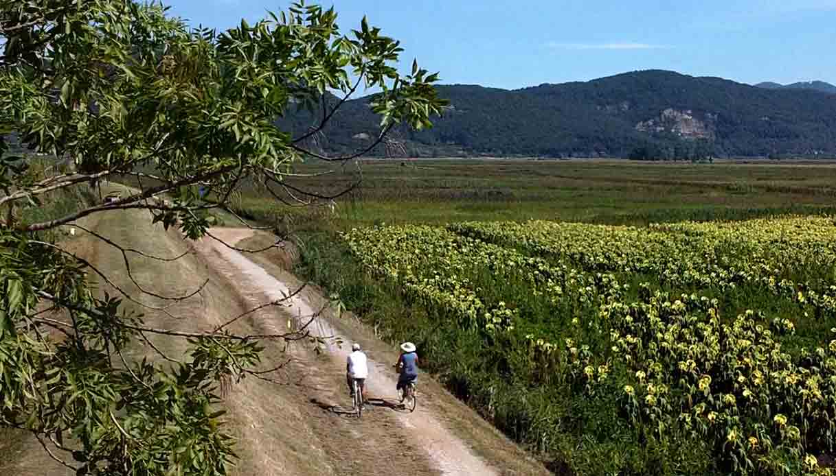 Sulla Ciclovia Puccini, la più bella d’Italia