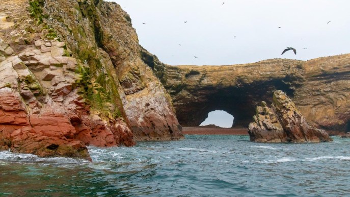 Perù, in viaggio verso le Islas Ballestas: tra fauna marina e meraviglie della natura