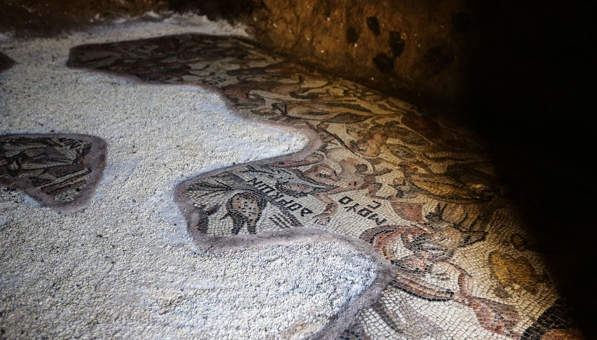 Nuova scoperta in Siria: da sotto terra emerge uno splendido mosaico