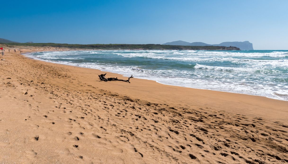 Porto Ferro spiaggia sardegna