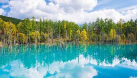 Il lago incantato e le distese fiorite multicolor: qui Madre Natura ha creato il suo capolavoro