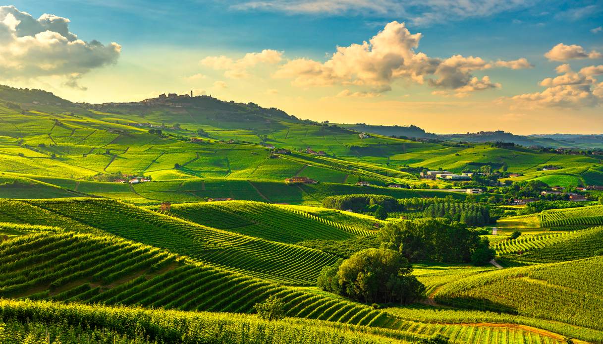 Paesaggio Langhe