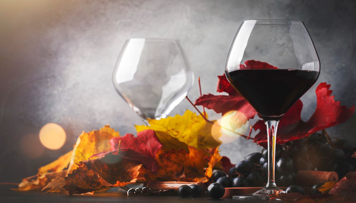 Quali sono i migliori vini delle Langhe