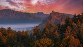 Perché dovresti organizzare un viaggio in questo paradiso naturale