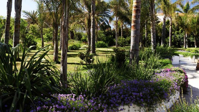 In Sardegna c’è un giardino bellissimo, che pochi conoscono