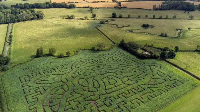 Questa estate puoi perderti e immergerti in un labirinto delle meraviglie