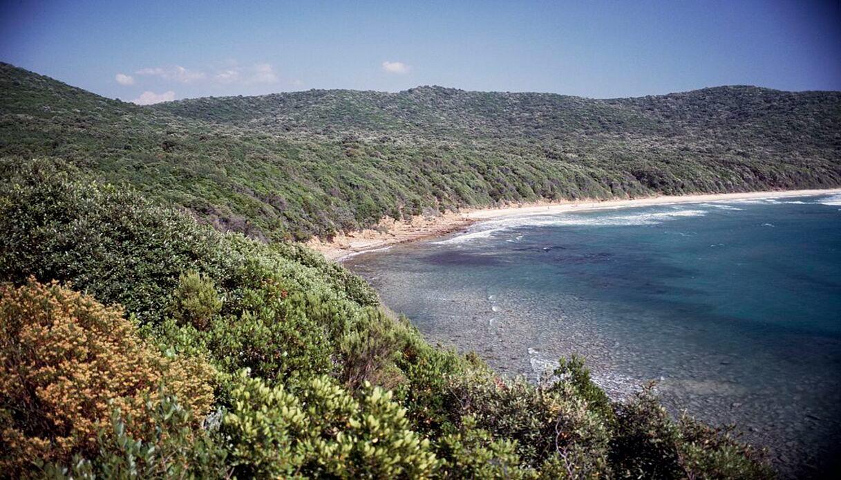 Cala Martina, cosa sapere