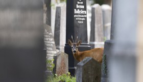 In questo cimitero monumentale puoi incontrare animali fantastici
