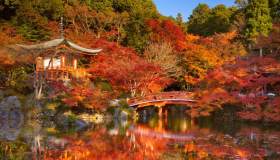 Equinozio d’autunno: 5 viaggi straordinari per celebrare l’arrivo della stagione