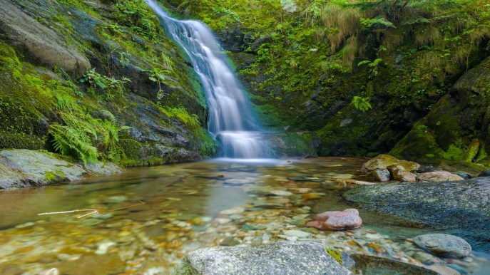 Valle Pesio, un angolo incantevole del Piemonte