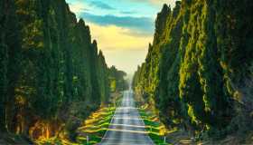 Viale dei Cipressi: una delle strade più poetiche d’Italia