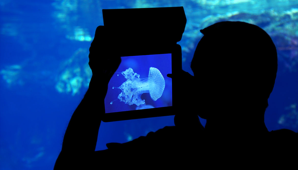 Acquari più belli del mondo: l'acquario di Genova