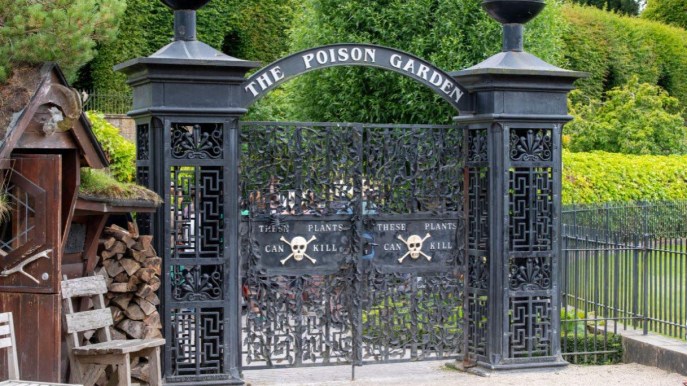 Non lasciatevi ingannare dalla sua bellezza: questo giardino è letale