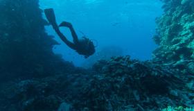 Nuova scoperta riporta alla luce tracce di un’antica città romana