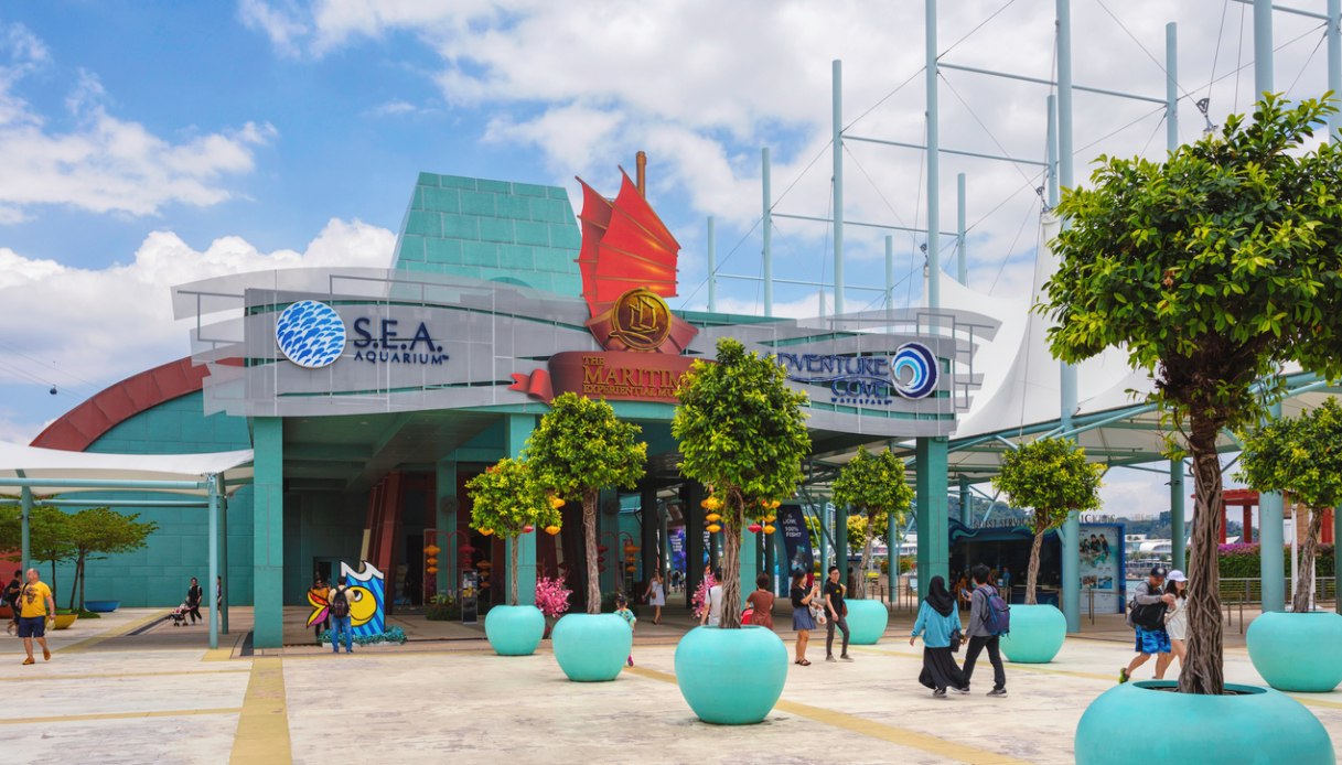 S.E.A. Aquarium a Singapore