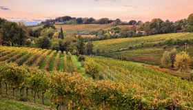 L’elogio del New York Times alla Food Valley italiana