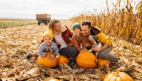 Pumpkin patch: la mappa dei campi di zucca che puoi visitare in Italia
