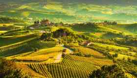 Dove degustare vini nelle Langhe