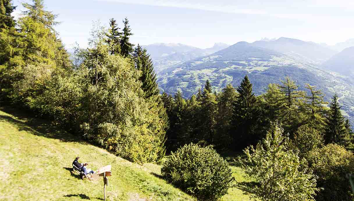 Il Sentiero delle prugne, l’itinerario più bello dell’estate