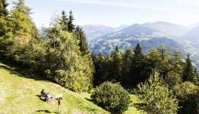 Il Sentiero delle prugne, l’itinerario più bello dell’estate