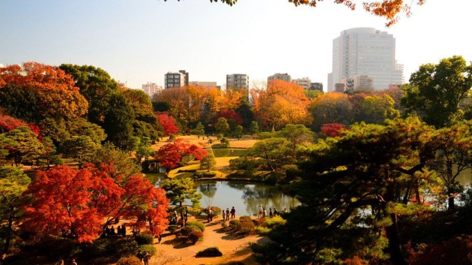 Kōyō: lo spettacolo d’autunno che tinge di meraviglia questa città