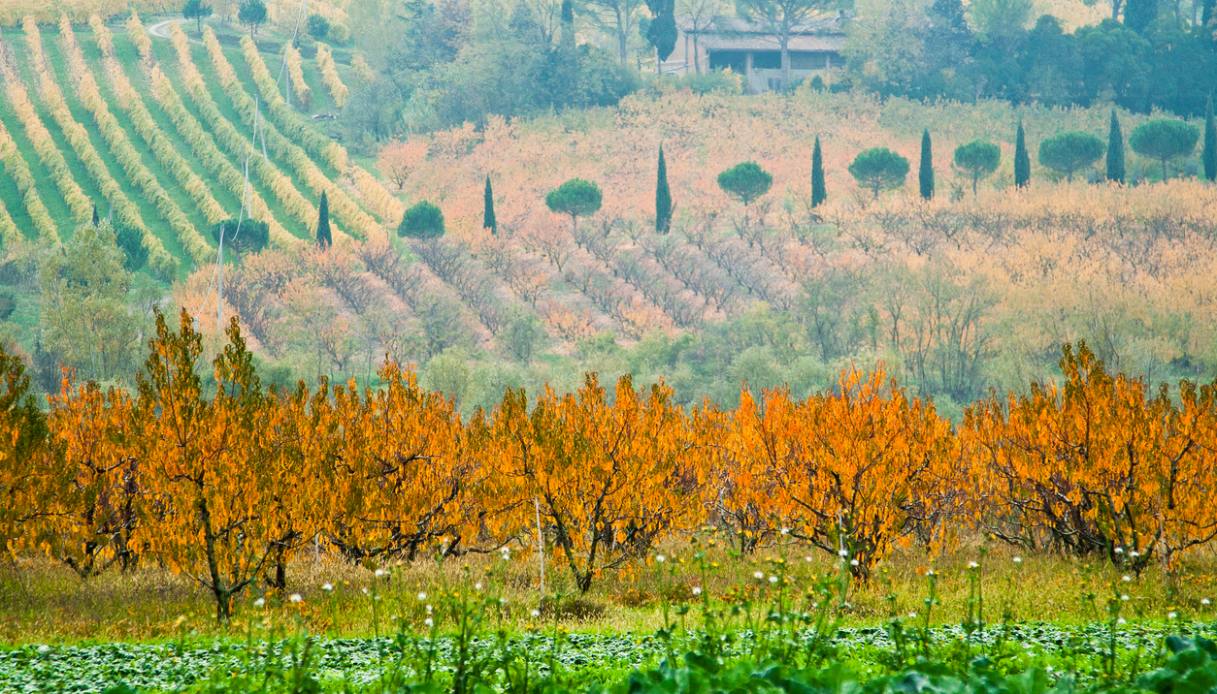 Il borgo degli gnomi si tinge di magia: inizia la festa del foliage