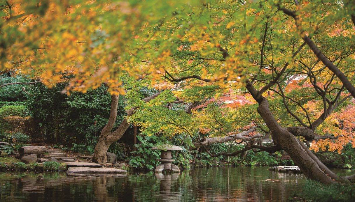 Il giardino dell'hotel New Otani