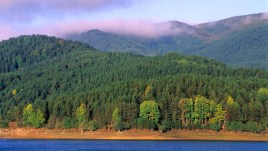 I Giganti della Sila si tingono di meraviglia: è esploso il foliage