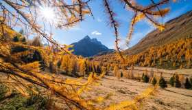 In queste valli italiane puoi passeggiare nel foliage