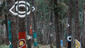 La foresta in Spagna che è stata trasformata in un’opera d’arte