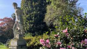 Questo giardino fiorisce d’inverno, ed è una meraviglia