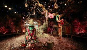 La Lapponia britannica che puoi visitare solo una volta l’anno