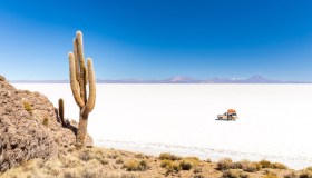 Il paradiso terrestre dove crescono i cactus giganti