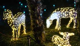 Lo spettacolo luminoso più bello del mondo si trova in Italia