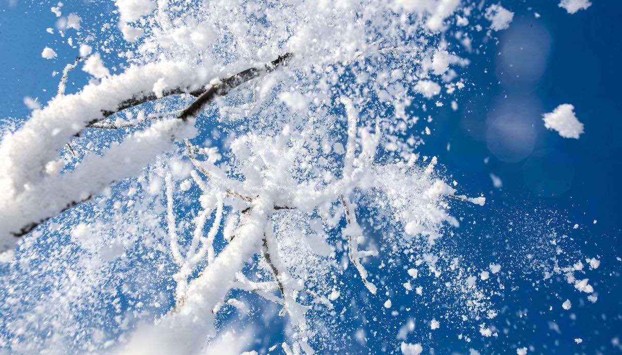 Gli alberi di Jilin sono completamente ricoperti di ghiaccio e brina