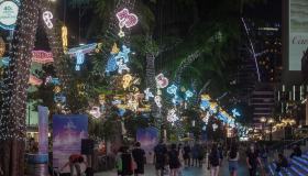 Il Natale tropicale è un trionfo di luci e magia che lascia senza fiato