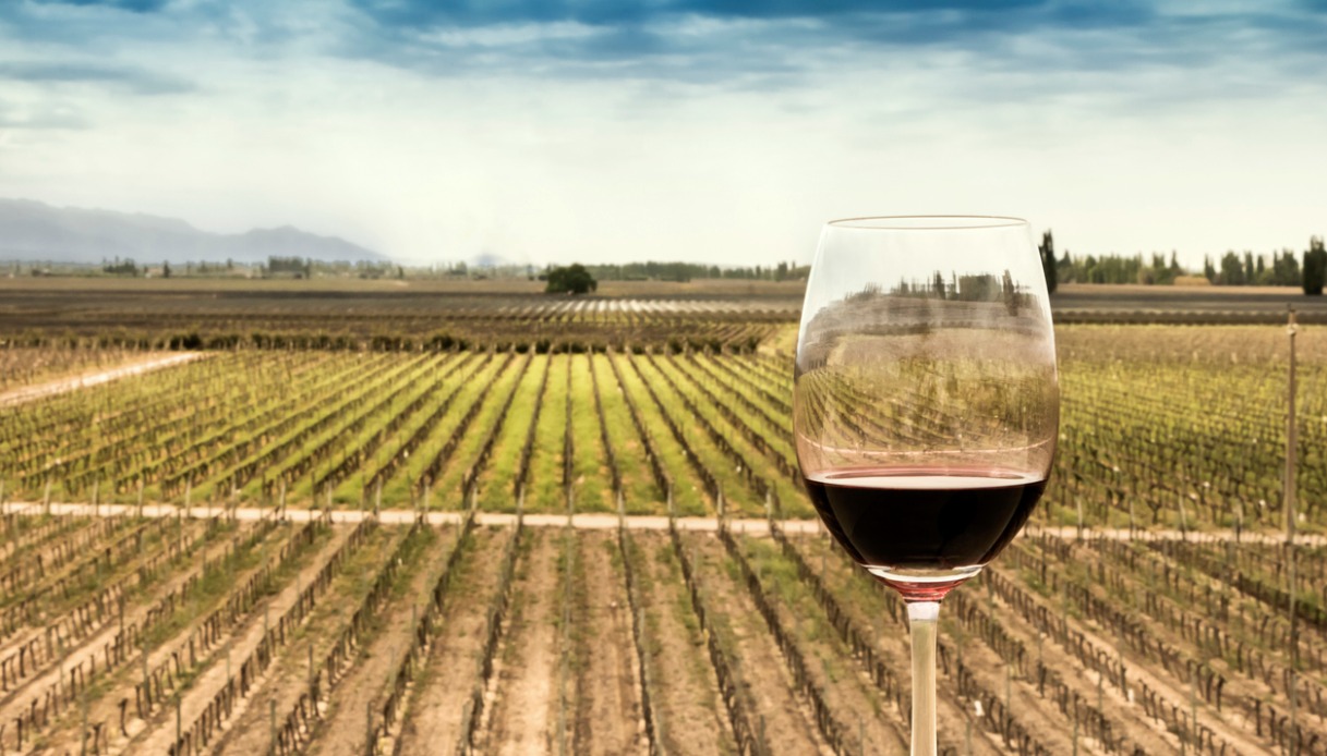 tour enogastronomico treno