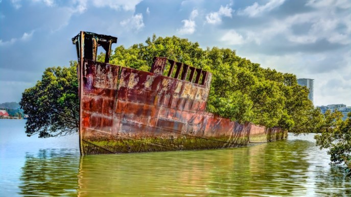 Su questa nave abbandonata la natura ha creato un capolavoro