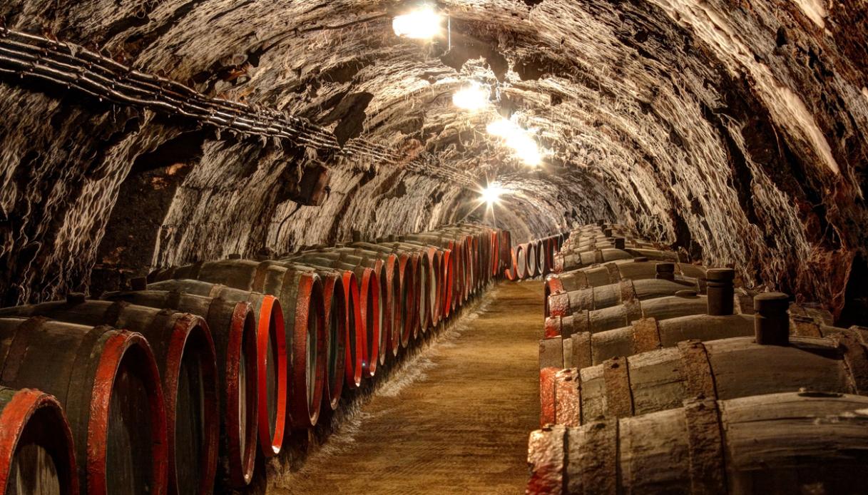 Tokaj cantine vino