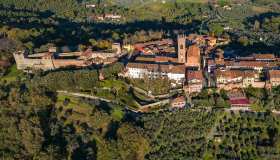 Vino, olio, storia e arte: l’altra Montecarlo