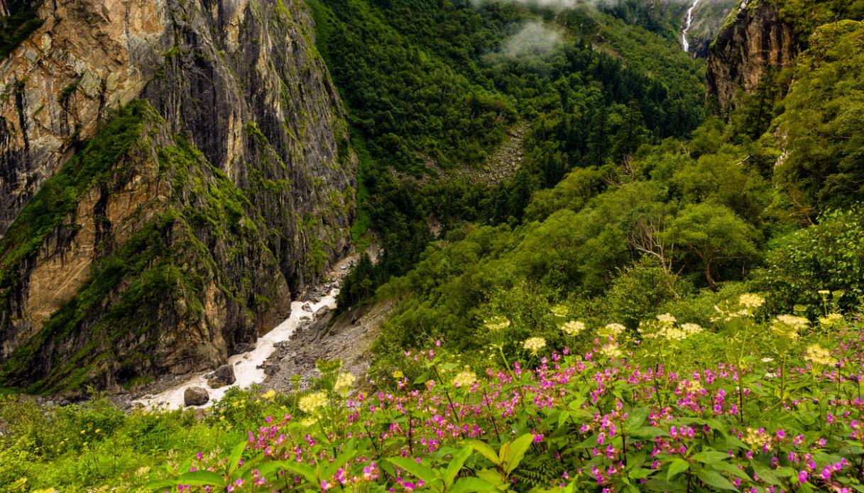 Valle dei fiori