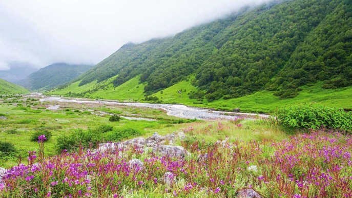 Tra fiori e fate: l’ultimo eden terrestre è una valle incantata