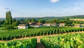 Regioni vinicole: quali sono le migliori in Europa