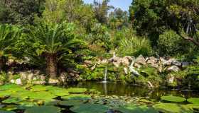 Riaprono i Giardini La Mortella, tra fioriture e imperdibili concerti vista mare