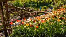 Riaprono i giardini: quali sono i più belli da visitare in Italia