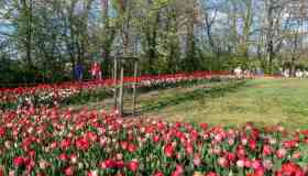 Gite di Pasquetta: idee per una giornata fuori porta