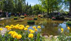 Giornata della Felicità: i luoghi che mettono il buonumore