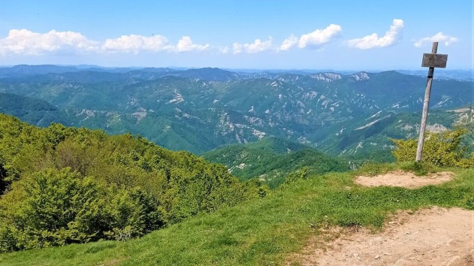 Poggio Scali, un’escursione di primavera nel Parco nazionale delle Foreste Casentinesi