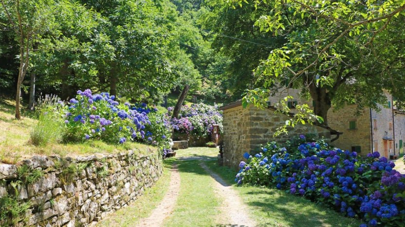 Al via ‘Trekking col treno’, 41 escursioni lungo i sentieri del territorio bolognese